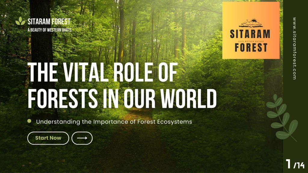 🌍 Forests: The Lifeline of Our World&nbsp;🌳