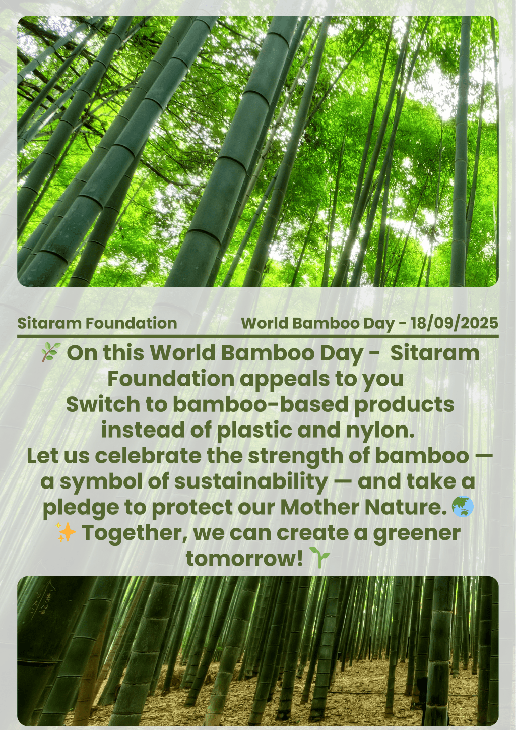 World Bamboo Day🎍